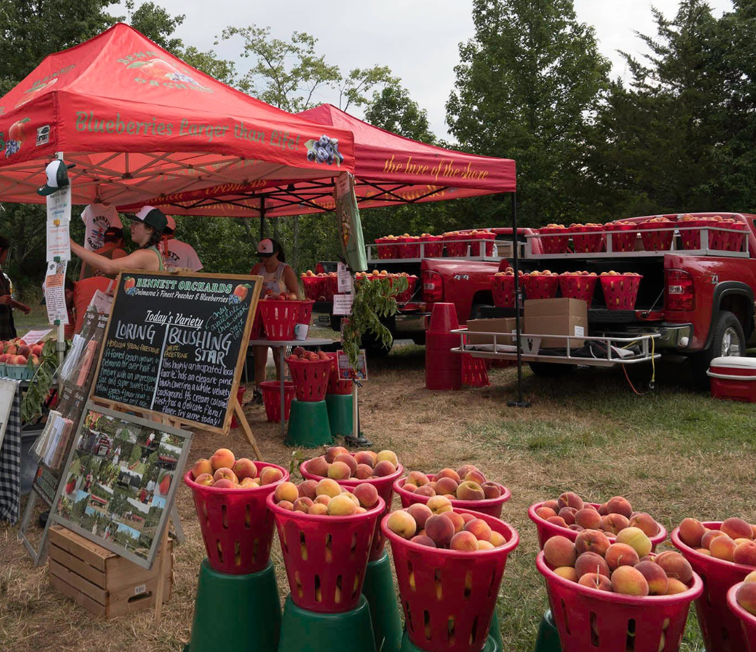 Delmarva farmers markets guide 2024: Where to find fresh produce in the summer season